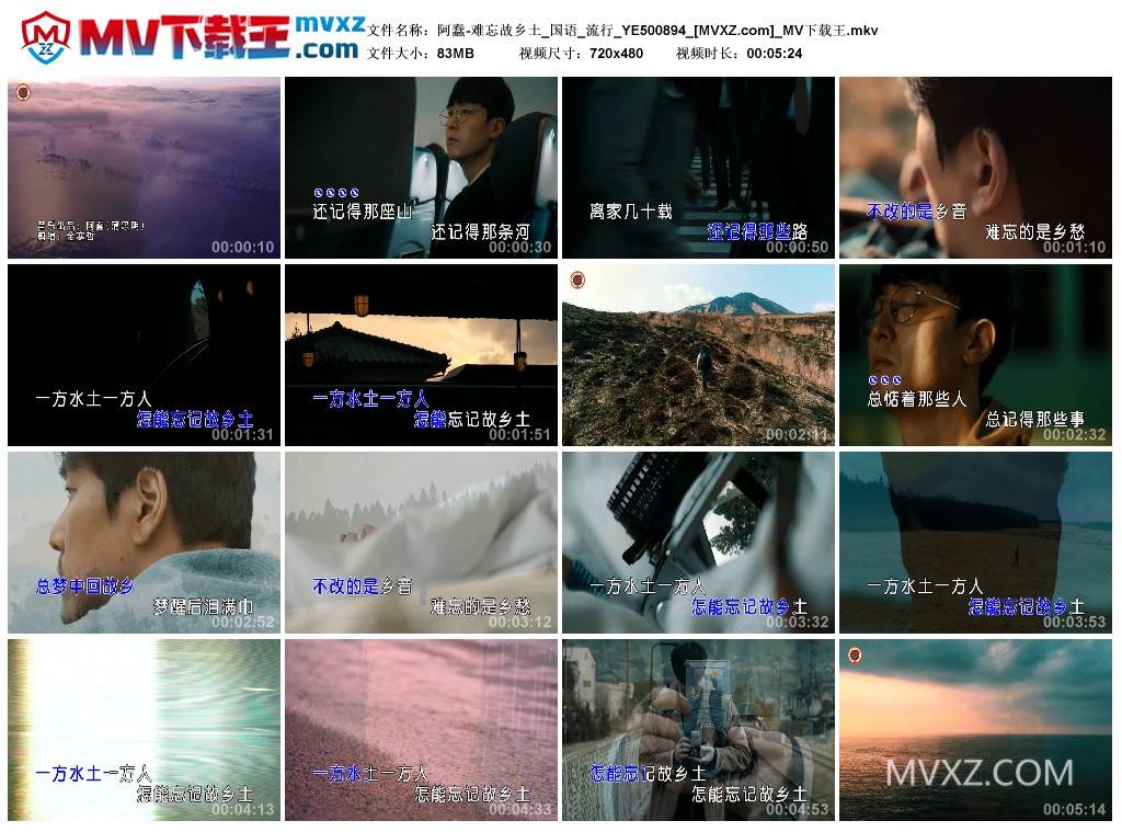 阿蠢-难忘故乡土_国语_流行_YE500894